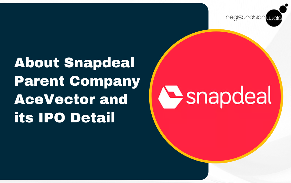 About Snapdeal Parent Company AceVector and its IPO Details